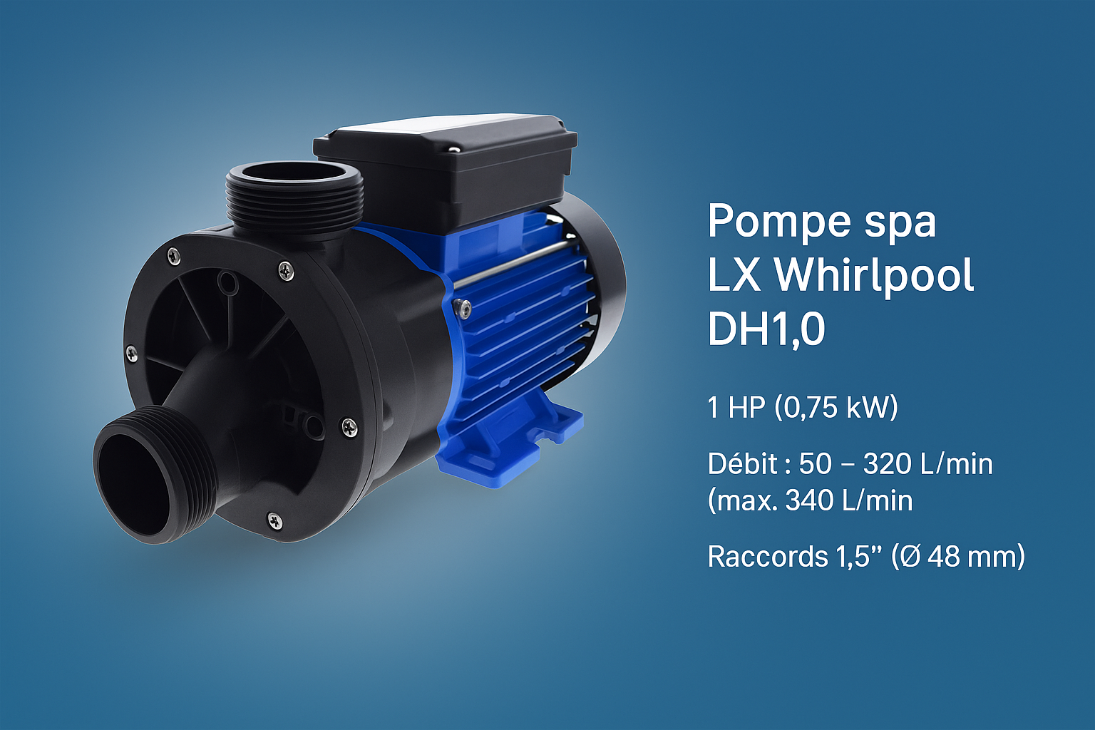 Pompe DH 1,0